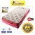 Libramattres Valentine 6 FOAM Mattress 1 Pillow Free