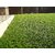 Best Artificial Grass For Balcony or Doormat, Soft and Durable Plastic Turf Carpet Mat, Artificial Grass(1.5 X 2.5 Feet)