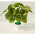 Adaspo Artificial Green  leaves Plant in Diomond Round   Pot
