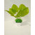 Adaspo Artificial Green leaves Plant in Square Pot