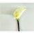 S N ENTERPRISES SNE5063 WHITE ANTHORIUM FLOWER STICK (PU PLASTIC)