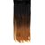 D DIVINE 4 Clip in Golden Double Shade Hair Extension