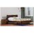 Vintej Home Solide Sheesham Wood  Teak Finish King Size Bed