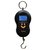 Pocket Weighing Scale, Fishing Travel Scale, Balance Scale Assured Product
