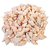 Sea Shells small shankh cream color ,500 Gm Pack ,Used In Aquariums ,Art  Crafts ,Decorations, Table Decoration , Approx,( 220-230 Pcs ) size 3.5 X 2.X 2 cms