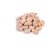 Sea Shells shankh light brown ,500 Gm Pack ,Used In Aquariums ,Art  Crafts ,Decorations, Table Decoration , Approx,( 30-35 Pcs ) size 4 X 2.5 cms