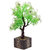 Random 3 Branched Artificial Bonsai Tree with Green and White Leaves and Purple Flowers