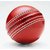 Mark Regal Cricket Leather Ball