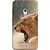 FUSON Designer Back Case Cover For Asus Zenfone 5 A501CG (Tiger Lion Chitta Angrily Looking Killer Hunter Shikari)