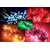 diwali rice light 10m pack of 5 (diff colours