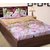 Home Berry Polycotton Peach Finish Double Set Of 2 Bed Sheet With Four Pillow Cover