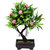Random Y Shaped Bonsai Tree with Pink Roses