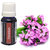 Divine Natural Essentials Geranium Essential Oil, 100% Pure, Undiluted, Aromatherapy, Skincare, Anti-Aging, Therapeutic Grade. 10 ml