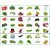 Combo Pack Of 40 Vegetable Seeds For Terrace And Kitchen Gardening by SapRetailer