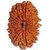 17 Mukhi the original and sinewave product rudraksh by lab certified
