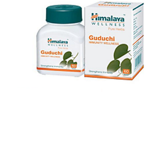 Buy Himalaya Guduchi Tablet 60tab Pack Of 2 Online 270 From Shopclues