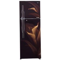 LG GL-T402RALU 360 L 3 Star Inverter Frost Free Double Door Refrigerator (Amber Luxe)