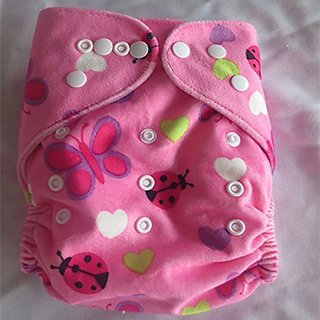 Tinytots Reusable  Nappy washable Chemical free leak free Pocket Cloth Diaper - LADYBUG print with microfiber insert