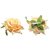 Homeoculture Cream Color Rose Flower Hair Clips - Pack Of 2 Pieces