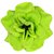 Homeoculture Bright Green Stem Flower Hair Clips | Pack of 2 pieces | looks like Natural Flower | Latest Design Hair Accessories