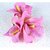 Homeoculture Violet Orchid Flower Hair Clips | Pack of 2 pieces | looks like Natural Flower | Latest Design Hair Accessories