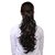 Homeoculture Hair Extension 18 Inches (Golden)