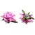 Homeoculture Lavender Color Rose Flower Hair Clips | Pack of 2 pieces | looks like Natural Rose | Latest Design Hair Accessories