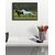 Running Horse poster (18x12 inch)