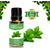 ZAAI NATURAL Basil Essential Oil 10 ML 100 Pure, With Free Dropper