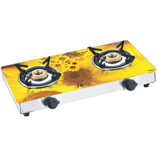 Apex gas stove 2 burner price online