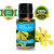 ZAAI NATURALS Ylang Ylang Diffuser Essential Oil 10 ML, With Free Dropper
