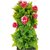 Adaspo Artificial Green Plants With Flowers ( Red , 32X17X17 CM ) (Red)