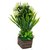 Adaspo Artificial Green Grass Plant With Flowers ( 30X10X10 CM ) (White)