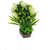 Adaspo Artificial Green Grass Plant With Flowers ( 30X10X10 CM ) (White)