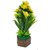 Adaspo Artificial Green Grass Plant With Flowers ( 30X10X10 CM ) (Yellow)