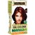 Indus Valley Organically Natural Gel Burgundy 3.6 Hair Color- Twin Pack