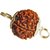 SSG Collections Nepali 4 Mukhi/Faced Rudraksha With Silver Coated Capping And GJSPC Certificated 100 Original  Natural