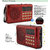 Mini Rechargable Radio With Hi Fi Sound  Support USB And TF Card