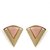 The Pari Fashionable Pink And Gold Earrings (TPER-562)