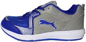 Orbit Sport Running Shoes 2078 Light Grey Royal Blue