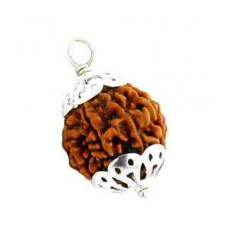 6 Mukhi 6 Face Rudraksha Bead Natural Rudraksha Bead Pendant 6 Face Rudraksha By Lab Certified