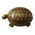 Stylish Feng Shui Wish Fulfilling Tortoise / Turtle