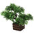 Adaspo Artificial plant with kelly green leaves in Natural Wooden pot(21 cm)
