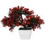 Adaspo Artificial Plant with apple red /green leaves in Melamine Square White Pot(24 cm)