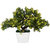 Adaspo Artificial Plant with chartreuse yellow flowers in Melamine Square White Pot(24 cm)