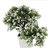 Adaspo Artificial Plant with white flowers in Melamine Square White Pot(24 cm)