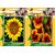 Flower Seeds By Airex Sunflower, Lotus and Tithonia (Summer) Flower Seed (Pack Of 50 Seed * 2 Per Packet) + 20 Lotus Seed