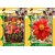 Airex Portulaca Mixed and Tithonia (Summer) Flower Seed (Pack Of 25 Seed * 2 Per Packet)