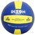 Dixon Gold Volleyball