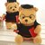 Soft Graduate Teddy For Kids (30X15 cm)
